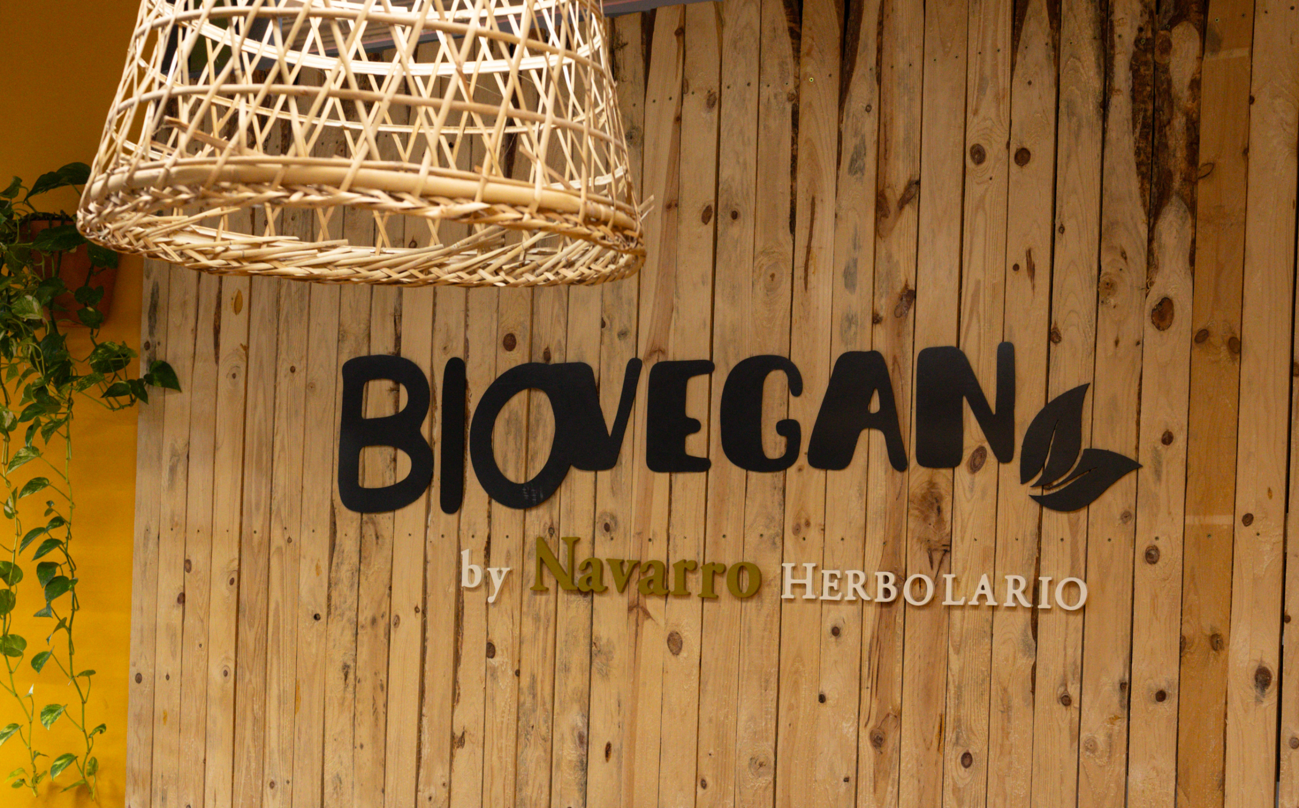 Encabezado - Contacto